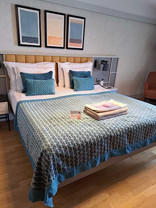 Zimmer Arum Barut Collection