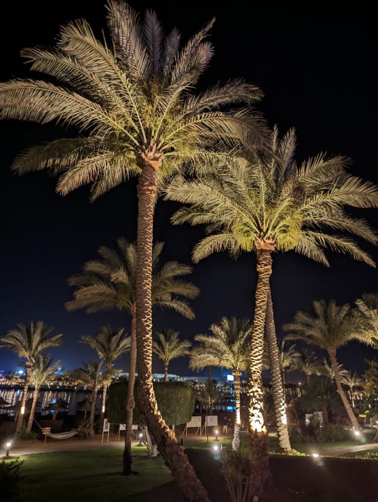 Gartenanlage Steigenberger Coraya Beach - Adults only