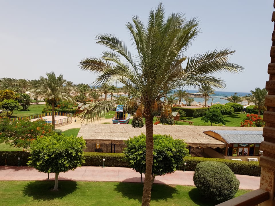 Ausblick vom Balkon  Desert Rose