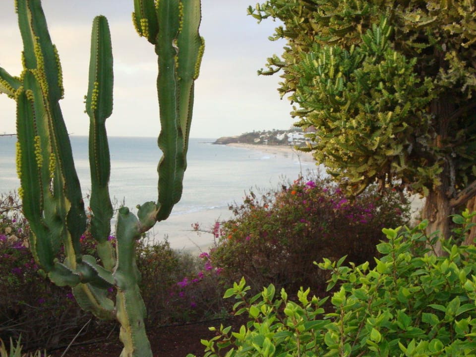 Vom Zimmer aus SBH Hotel Taro Beach