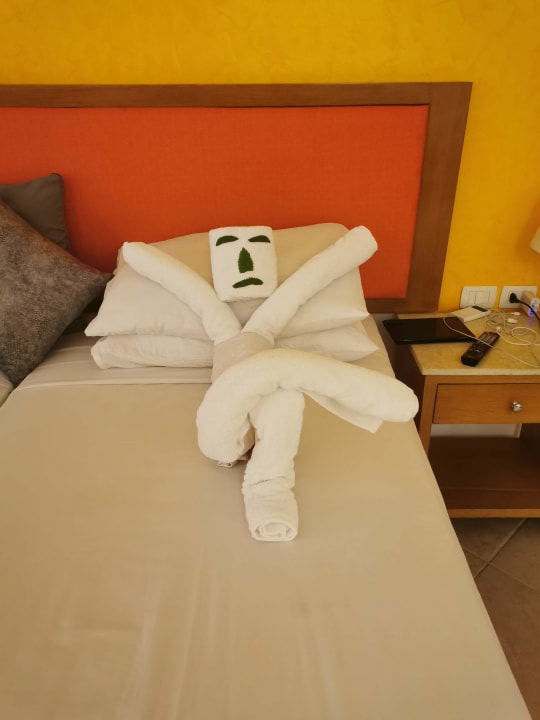 Zimmer Hotel Gorgonia Beach Resort