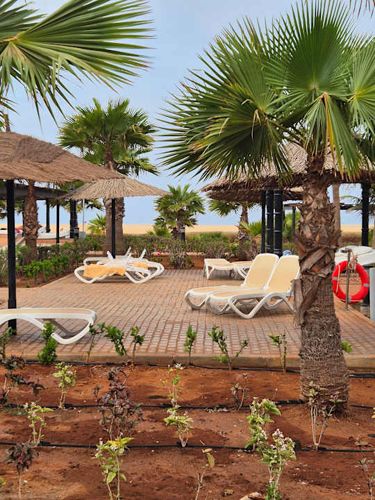 Gartenanlage Hotel Riu Touareg