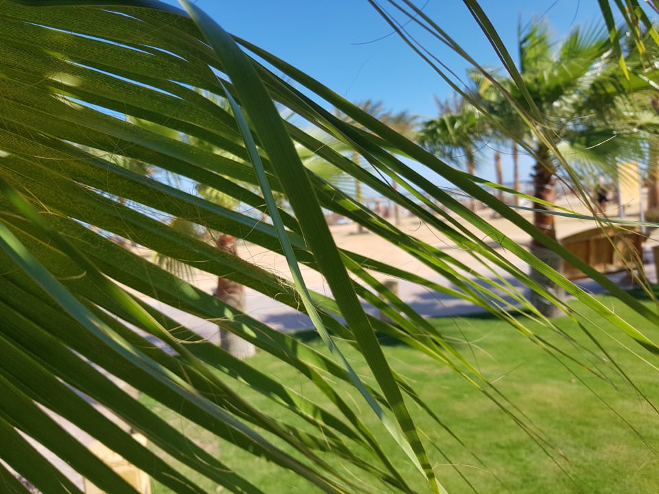 Gartenanlage Casa Mare Resort