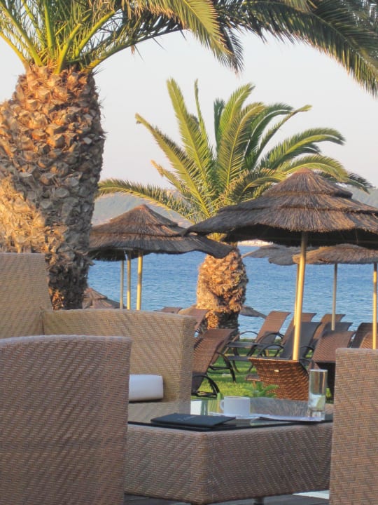 Pool-Strandbar The Ixian Grand & All Suites