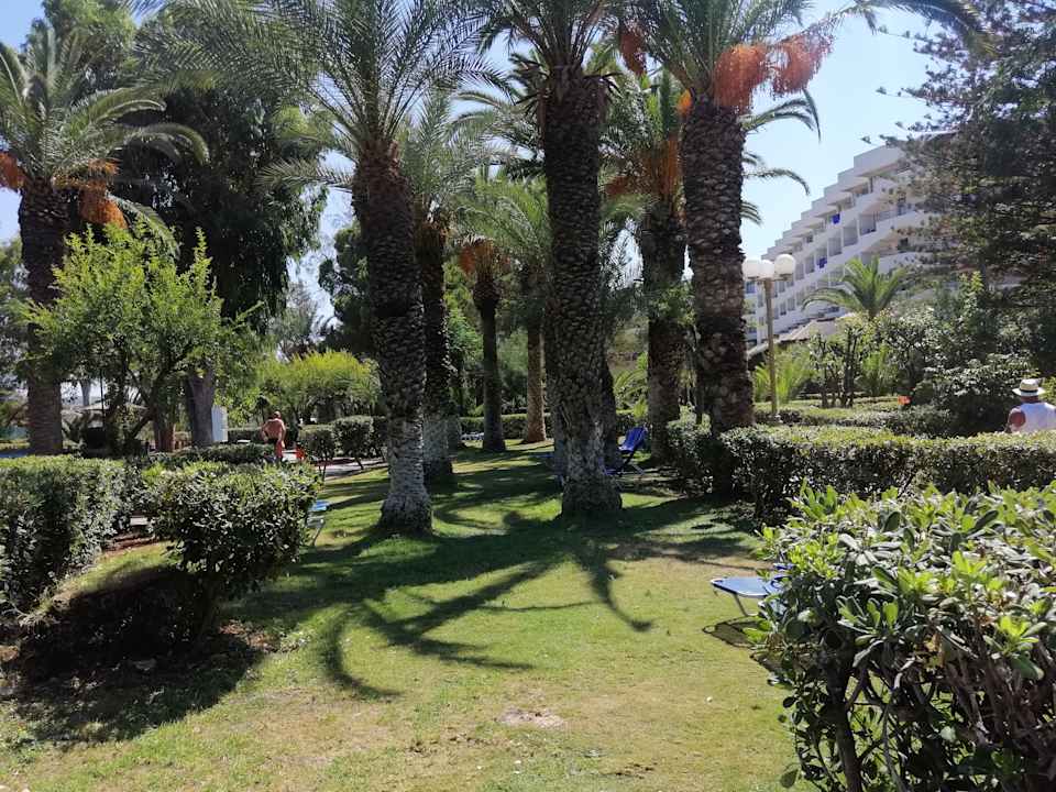 Gartenanlage Apollonia Beach Resort & Spa