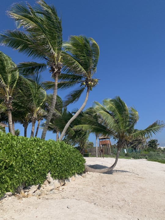 Gartenanlage Akumal Bay Beach & Wellness Resort