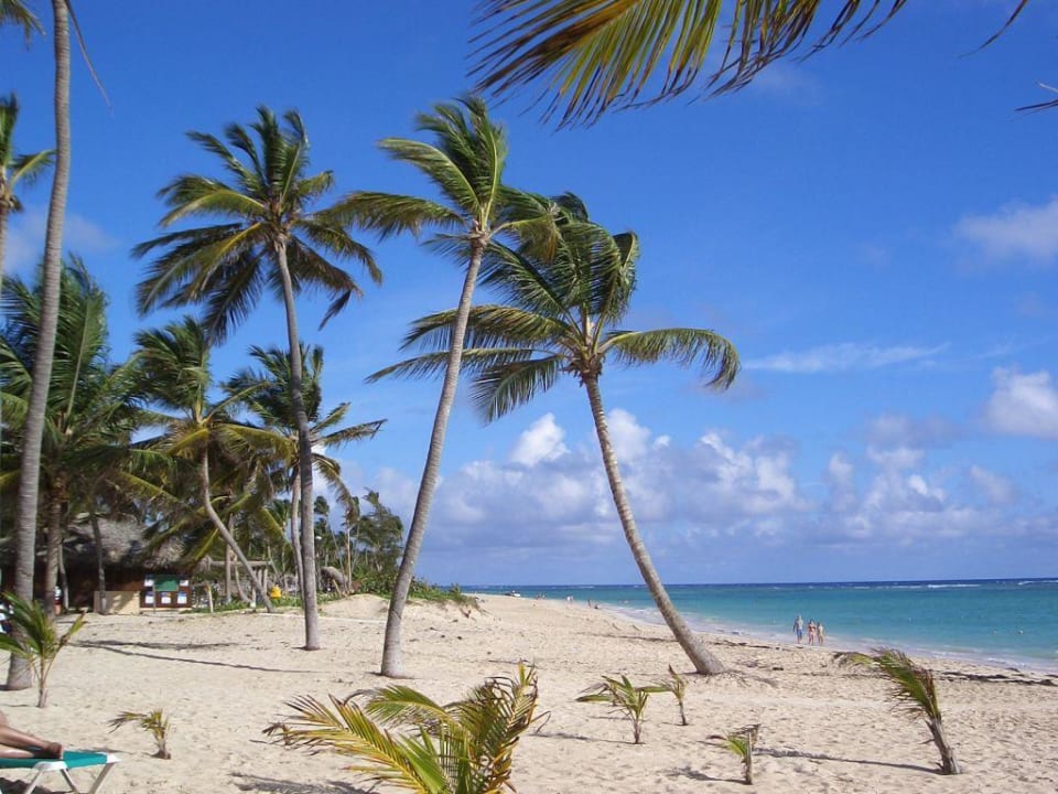 Strand des Palace Hotel Riu Palace Punta Cana