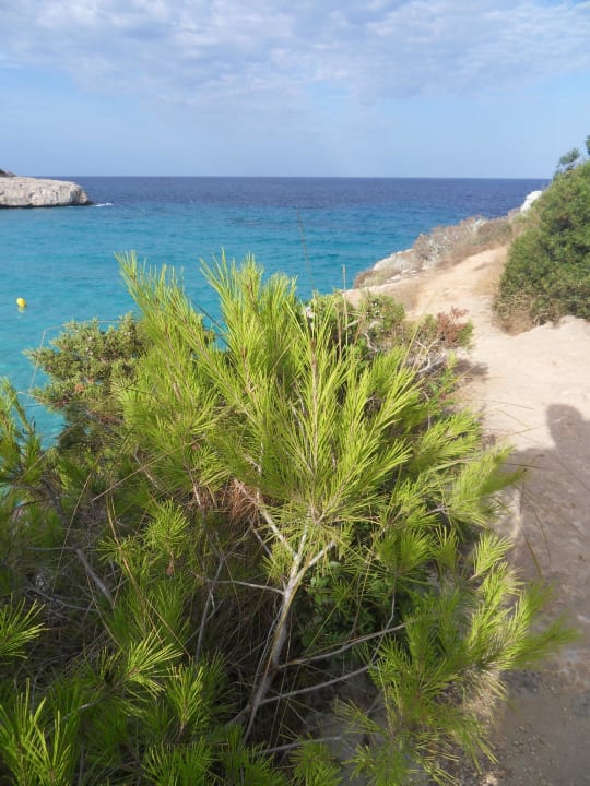 Aussichstpunkt Iberostar Waves Cala Domingos