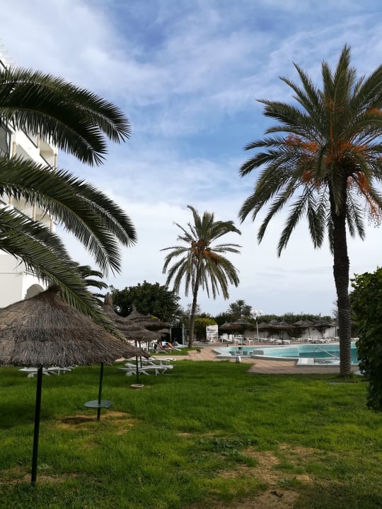 Ausblick Royal Jinene