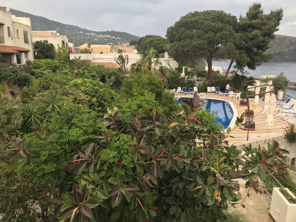 Garten und Poolanlage Hotel Giardino sul Mare