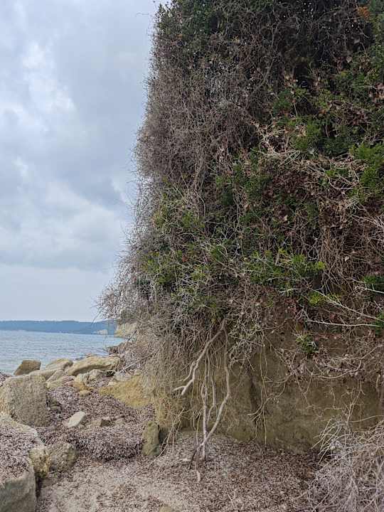 Strand Possidi Holidays Resort & Suite Hotel