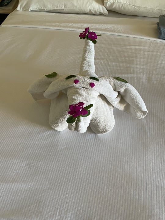 Zimmer Coral Sun Beach