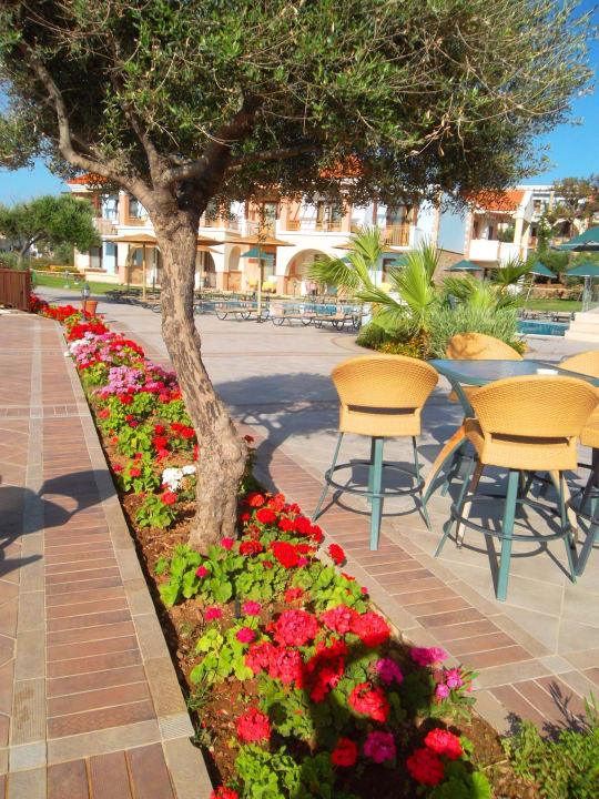 У бара и бассейна Lindos Imperial Resort & Spa