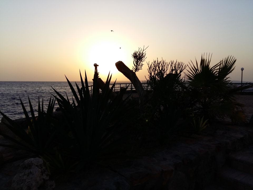 Sonnenaufgang Arabella Azur Resort