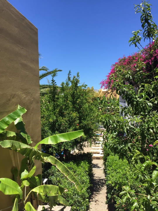 Weg zum Pool Hotel Xidas Garden