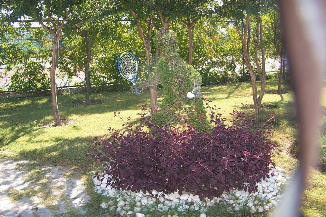 Ein Tennisspieler  Crystal Paraiso Aqua Collection