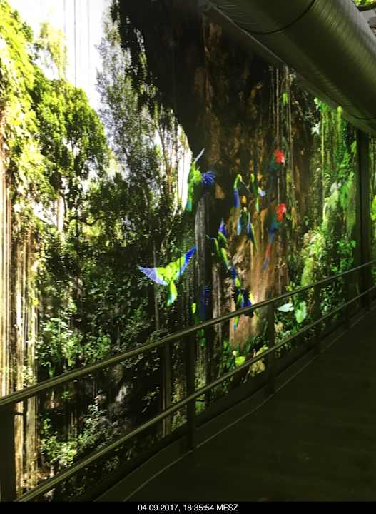 Ausblick Tropical Islands Resort