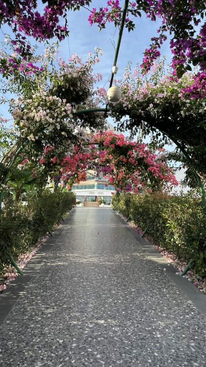 Gartenanlage Rubi Platinum Sign