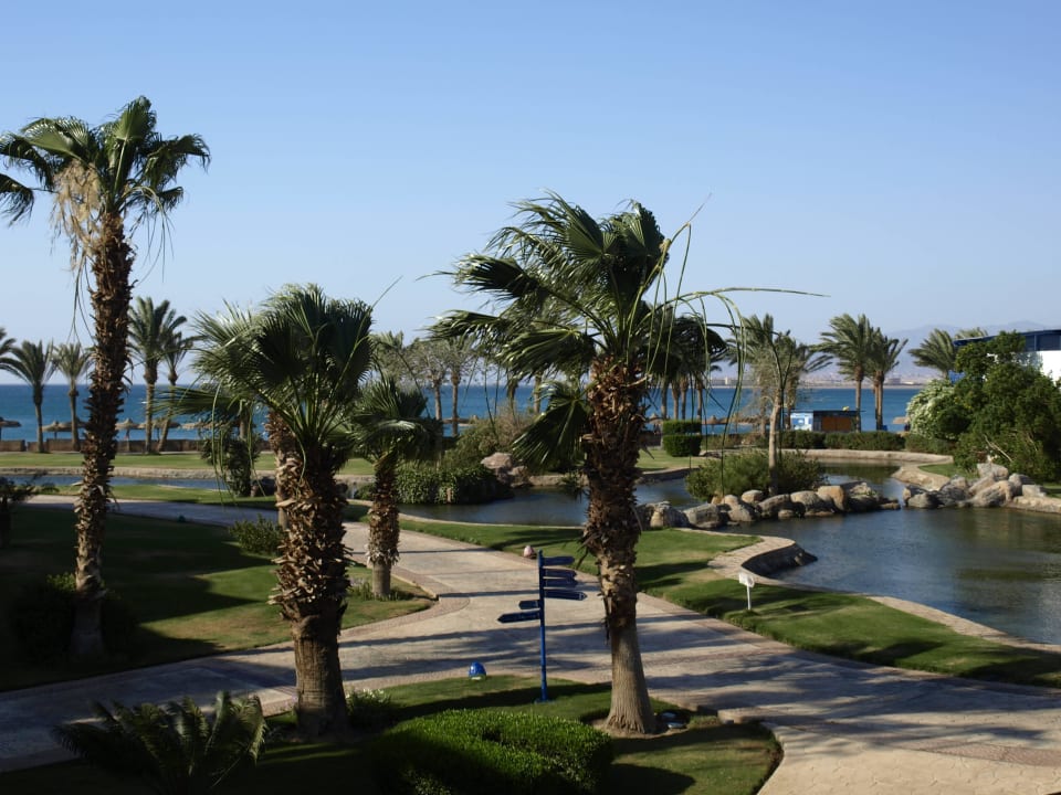 Blick vom Balkon Palm Royale Resort - Soma Bay