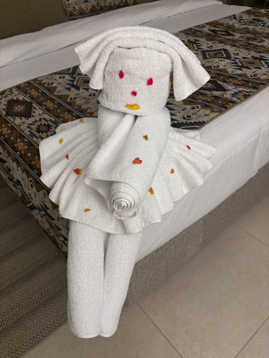 Zimmer JAZ Elite Asteria