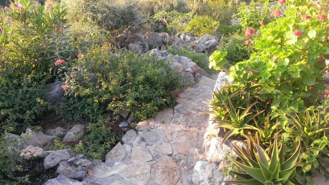 Sehr gepflegte Anlagen - ein Traum Apartments Katerina