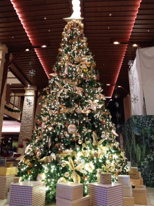 Lobby Sofitel Dubai The Palm Resort & Spa