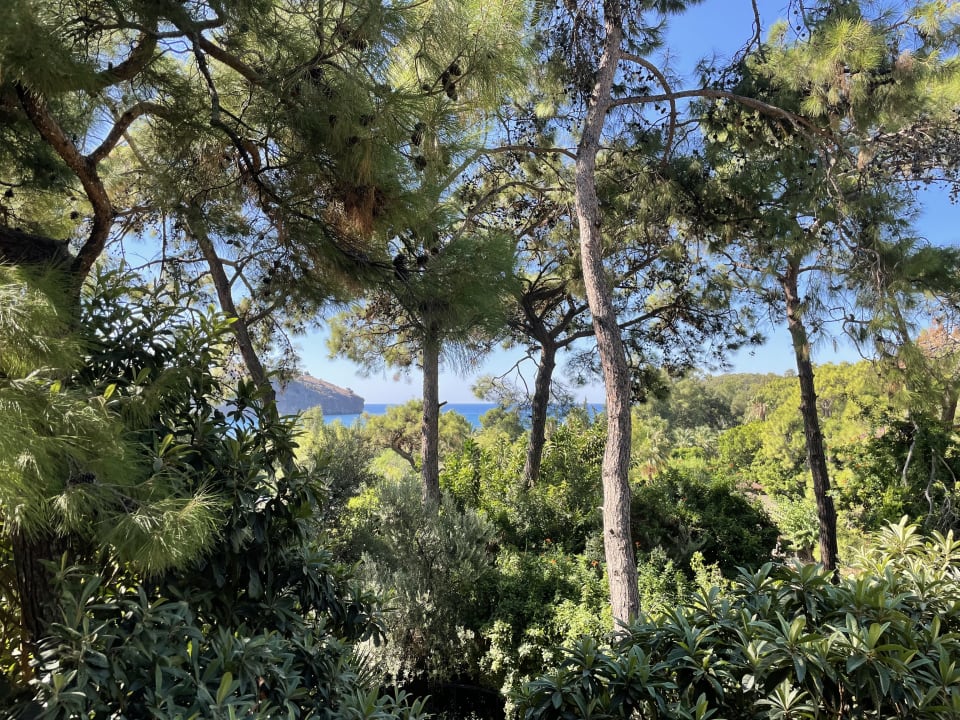 Ausblick TUI MAGIC LIFE Sarigerme