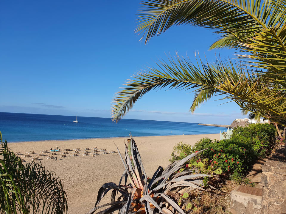 Ausblick Hotel Riu Palace Jandia