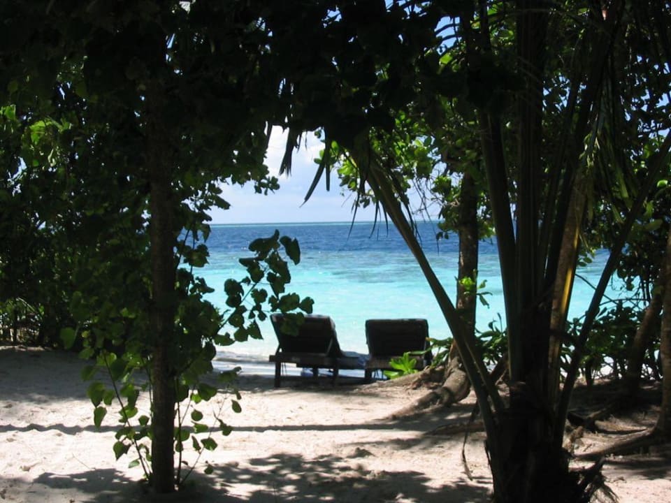 Ausblick Bungalow-Terrasse Vilamendhoo Island Resort & Spa
