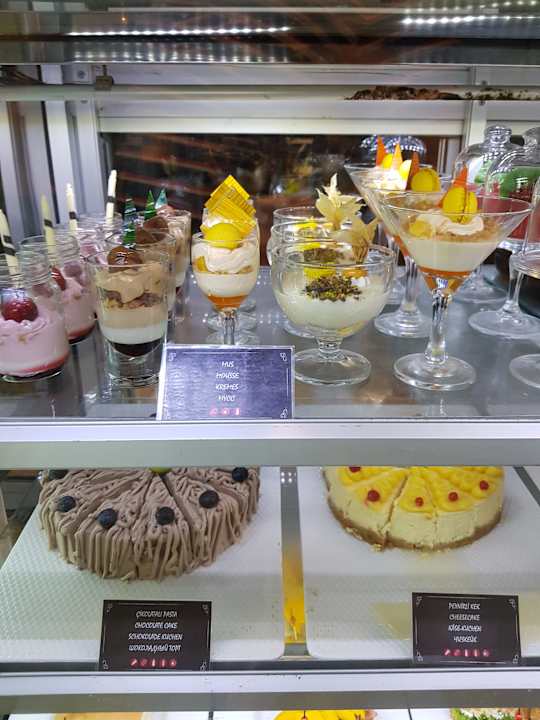 Gastro Acanthus Cennet Barut Collection