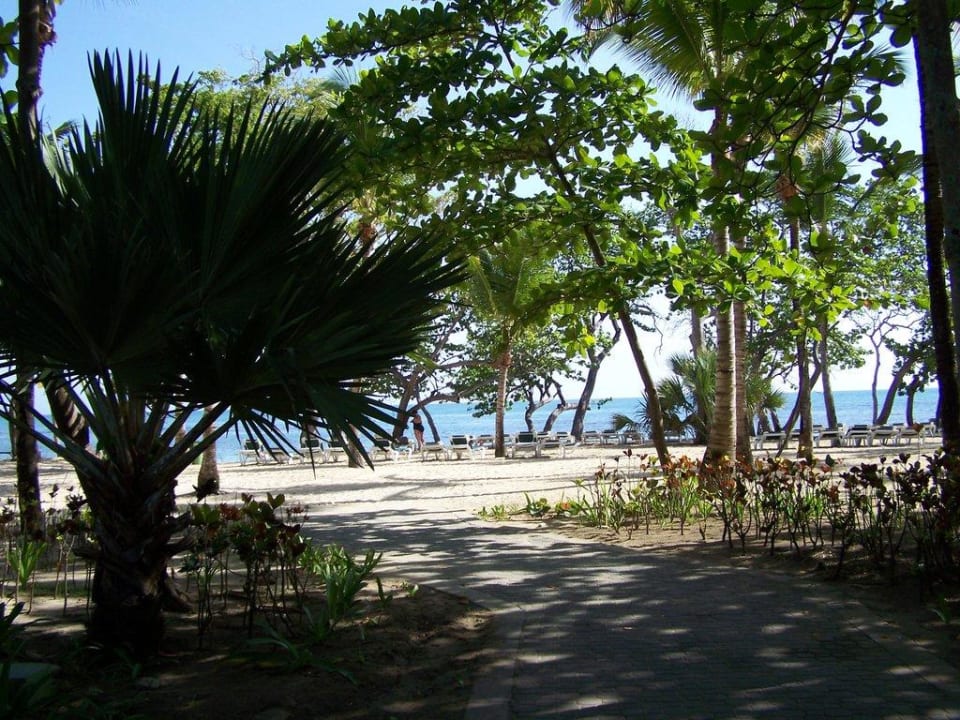 Blick zum Strand Playabachata Hotel