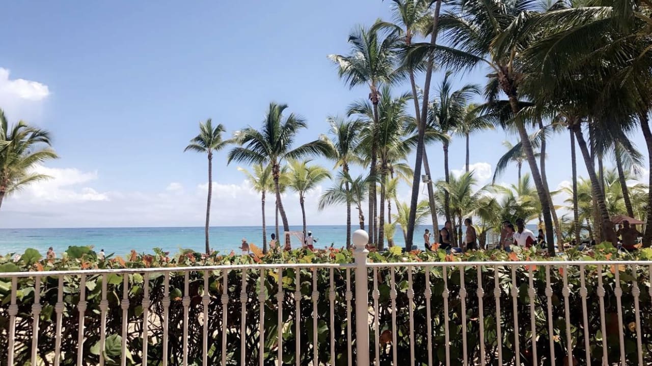 Ausblick Hotel Riu Palace Punta Cana