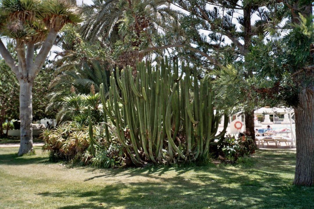 Sandy Golf Bungalows Cordial Sandy Golf