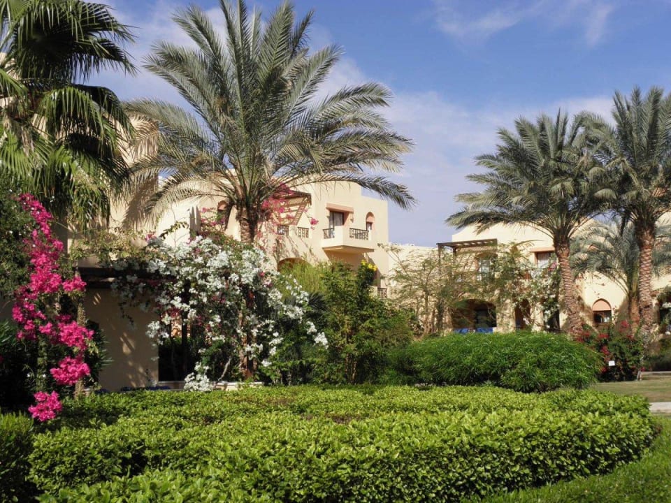 Garten Steigenberger Coraya Beach - Adults only