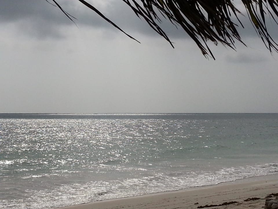 Hotelstrand Neptune Pwani Beach Resort & Spa