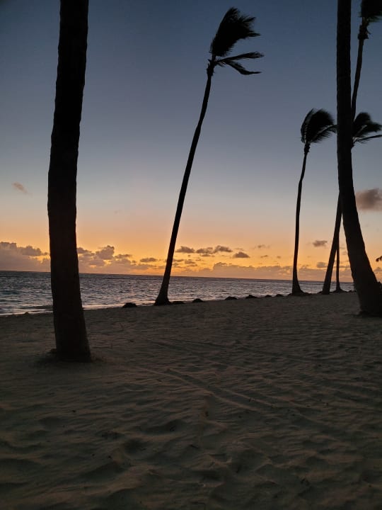 Strand Catalonia Punta Cana - All Inclusive