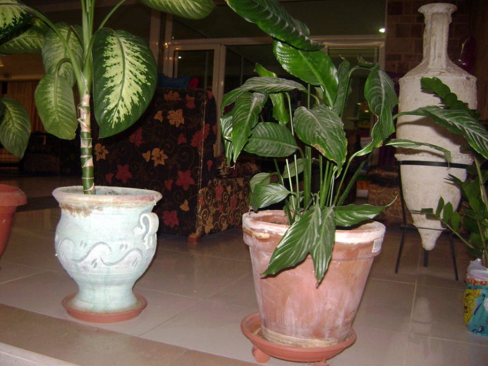 Lobby im Eingangsbereich Marianna Palace Hotel