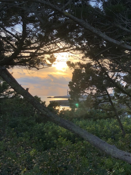 Ausblick Grupotel Aldea Cala'n Bosch