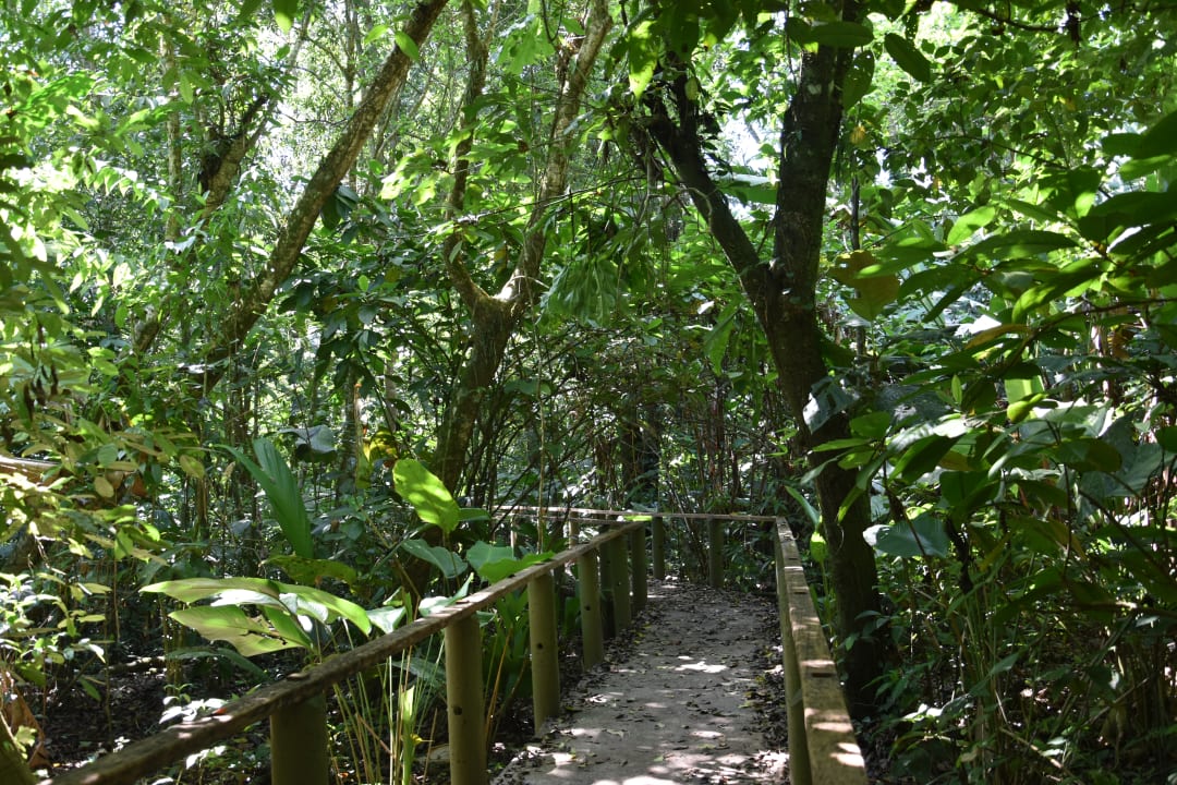 Gartenanlage Hotel Pachira Lodge