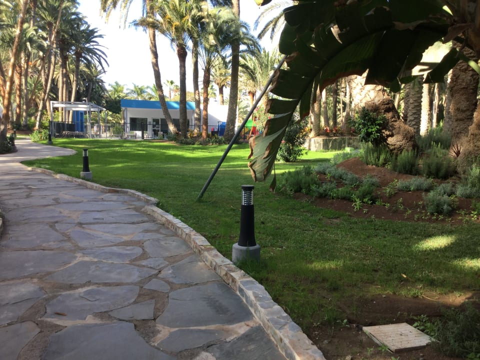 Gartenanlage Hotel Riu Palace Oasis