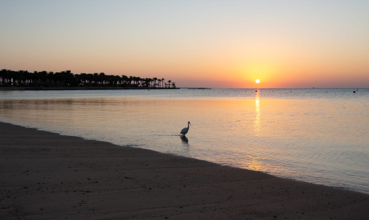 Strand Palm Royale Resort - Soma Bay