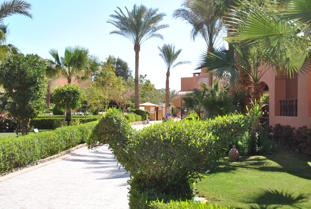 Strauch-Tier Hotel JAZ Makadi Star & Spa