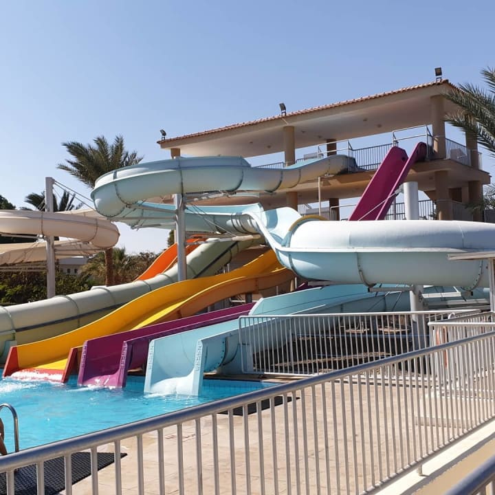 Sport & Freizeit Desert Rose