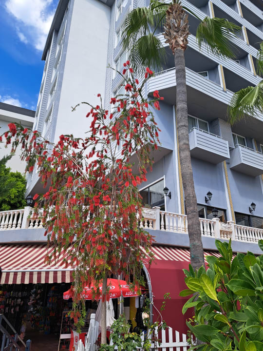 Gartenanlage Mira Meridia Beach Hotel