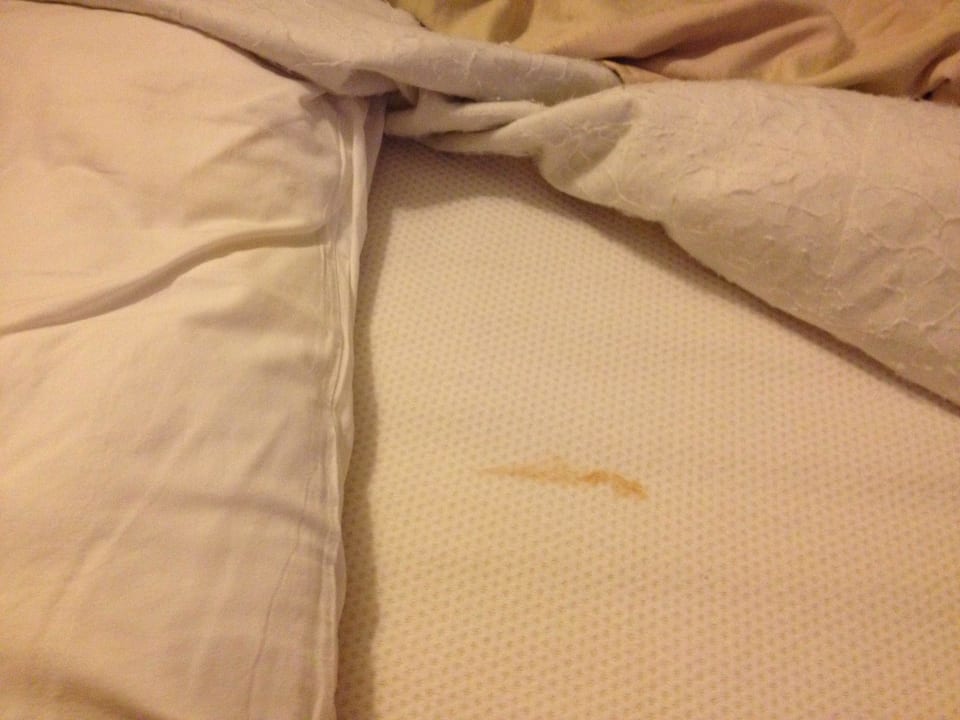 Zimmer 547  Seher Kumköy Star Resort & Spa