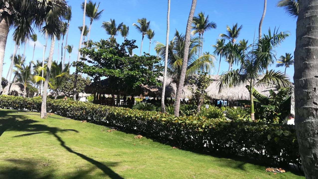Gartenanlage Grand Palladium Select Bávaro Resort & Spa
