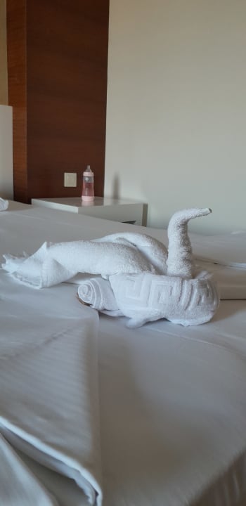 Zimmer Seaden Sea World Resort & Spa