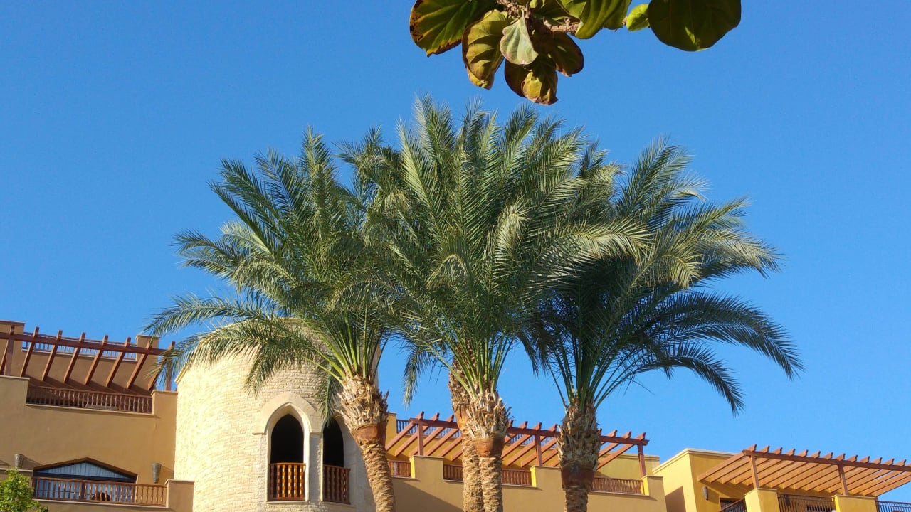 Hotel Sunwing Waterworld Makadi Grand Waterworld Makadi & Family Star Makadi