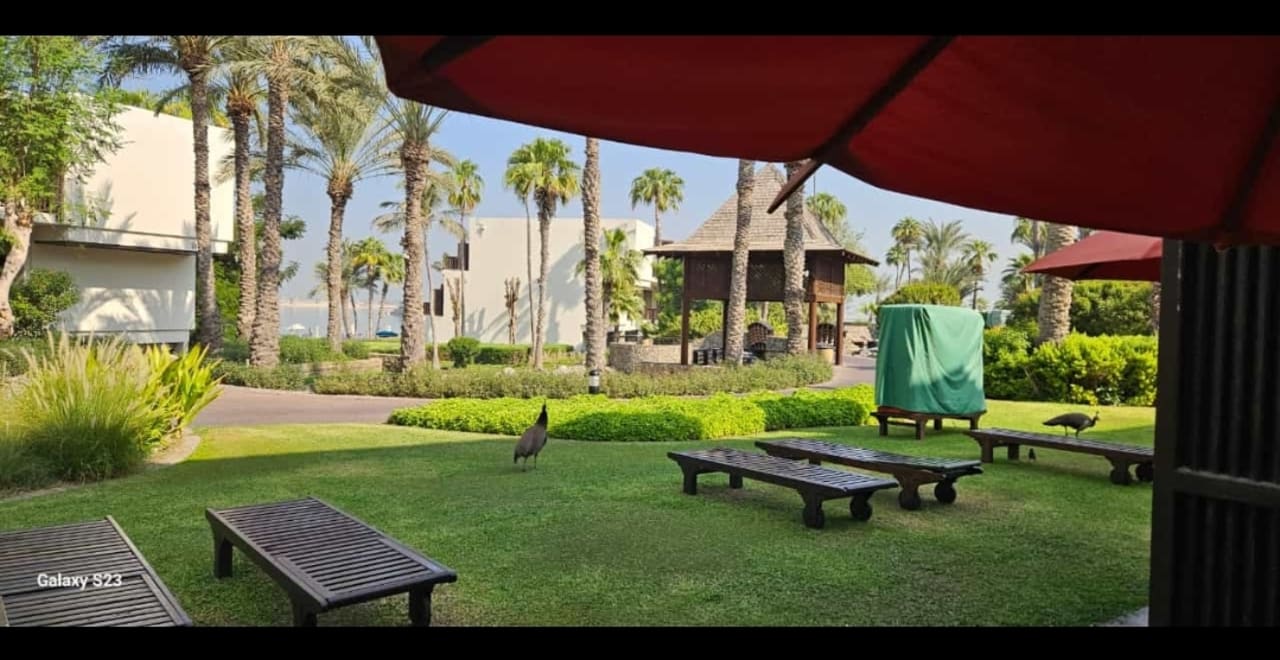 Gartenanlage JA Palm Tree Court