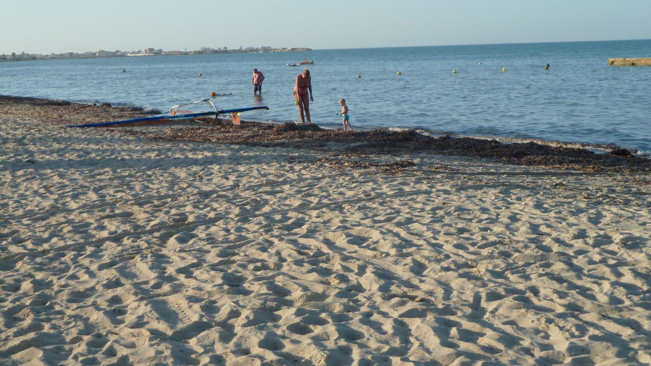 Breit, flachabfallend - etwas Meergras Hotel Sangho Club Zarzis